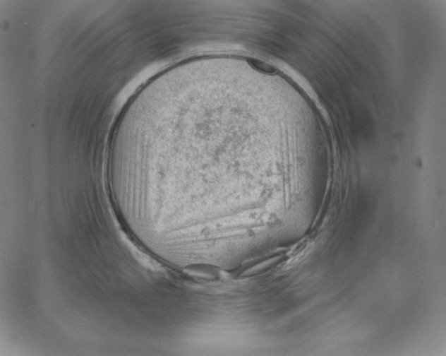 X0000062611245200601181621