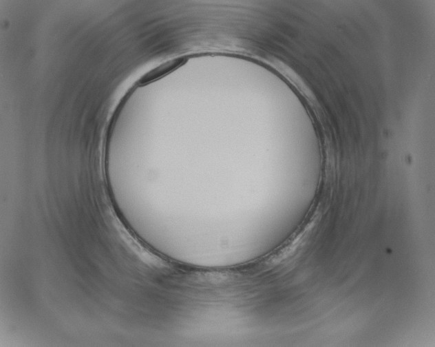 X0000062611246200601181621