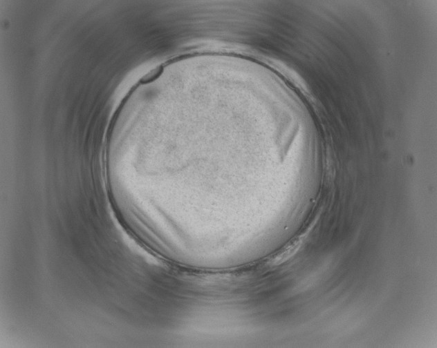 X0000062611247200601181621