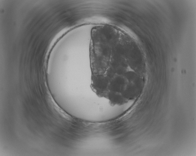 X0000062611248200601181621