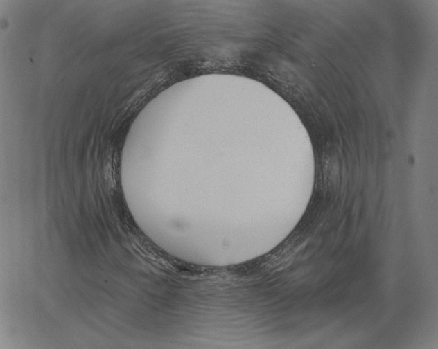 X0000062611250200601181621