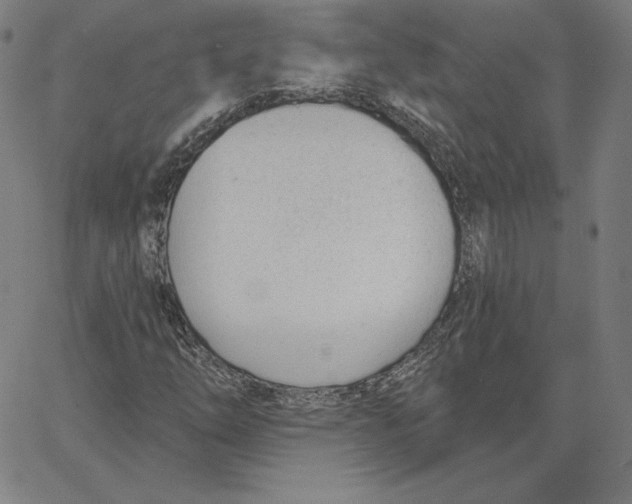 X0000062611254200601181621