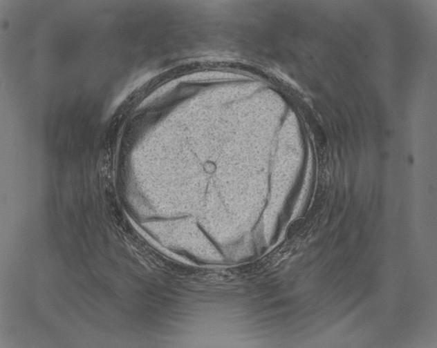 X0000062611255200601181621