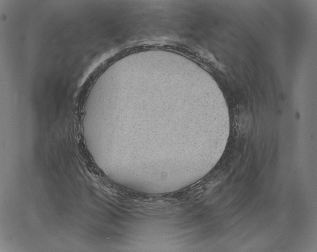 X0000062611256200601181620