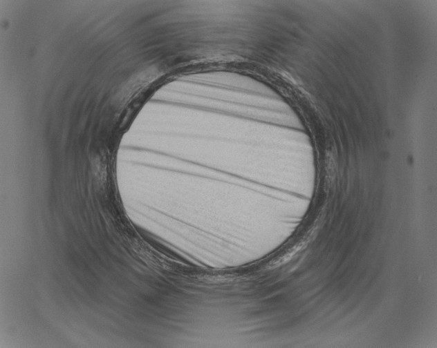 X0000062611257200601181620