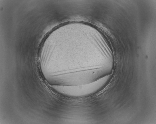 X0000062611264200601181620