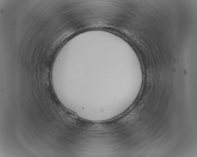 X0000062611265200601181620