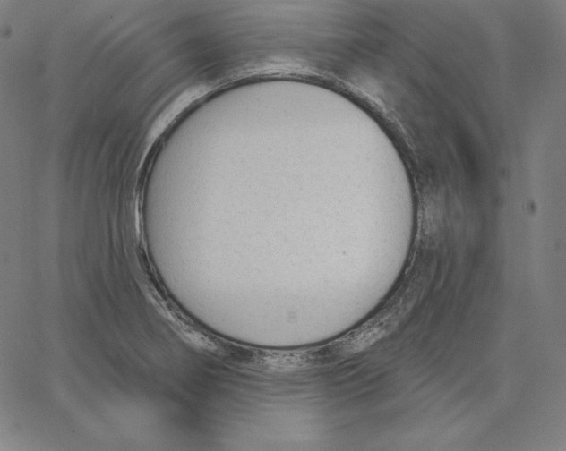 X0000062611274200601181620