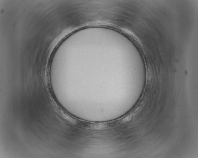 X0000062611278200601181620