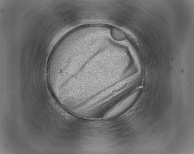 X0000062611279200601181620