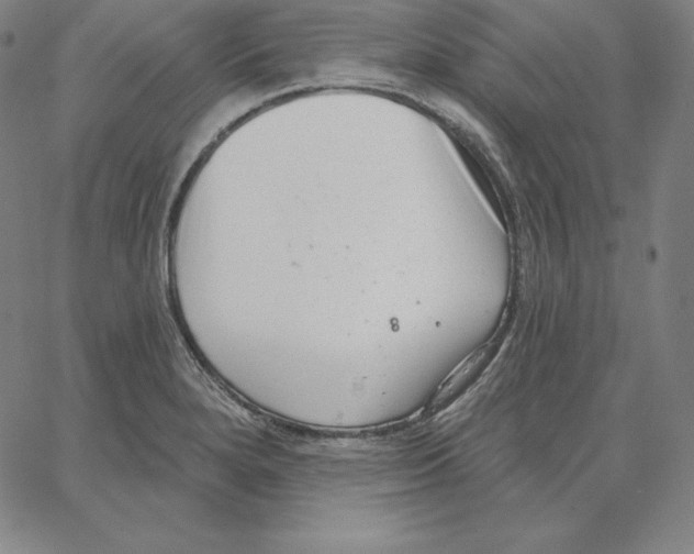 X0000062611280200601181620