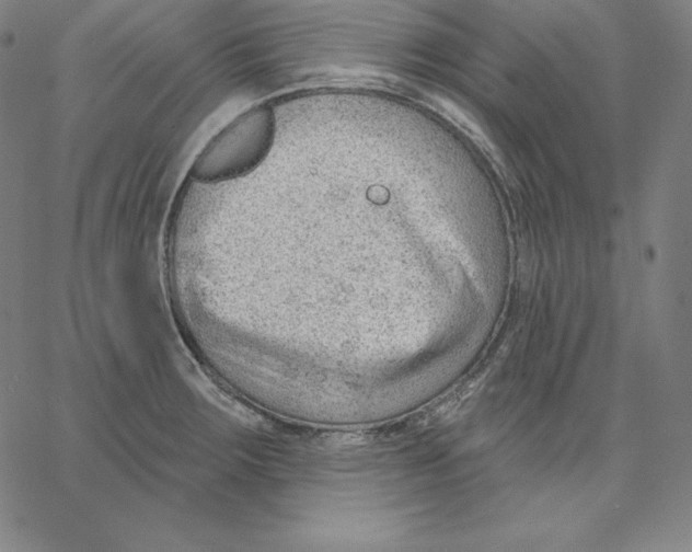 X0000062611283200601181620