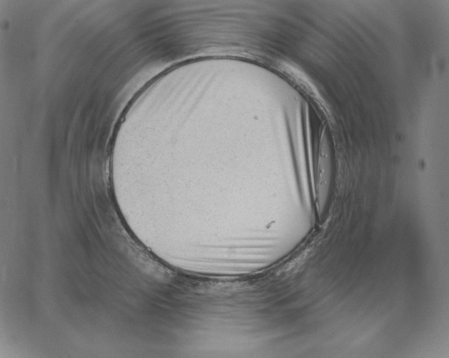 X0000062611284200601181620