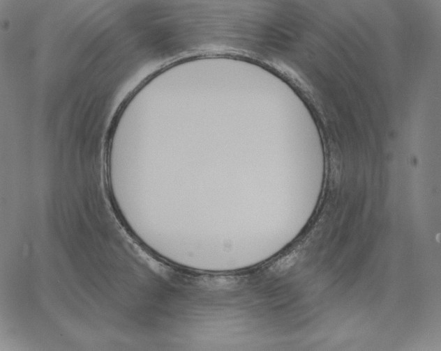 X0000062611286200601181620