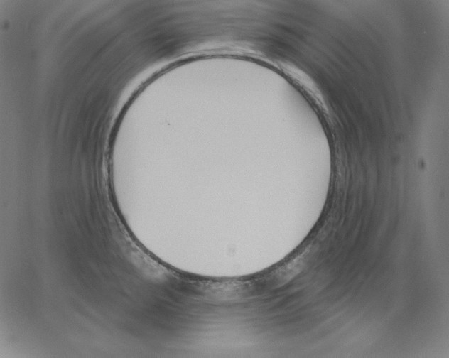 X0000062611288200601181620