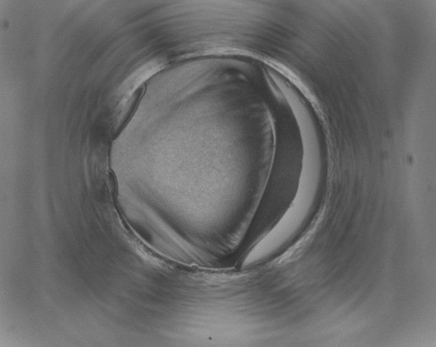 X0000062611289200601181620