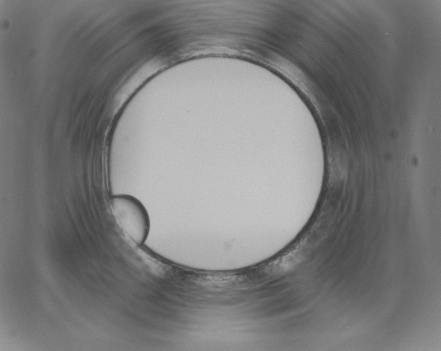 X0000062611290200601181620