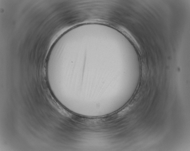 X0000062611292200601181620