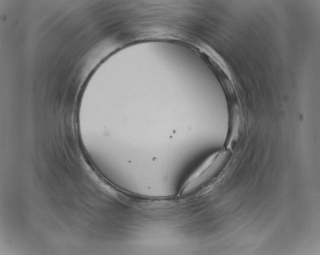 X0000062611293200601181620