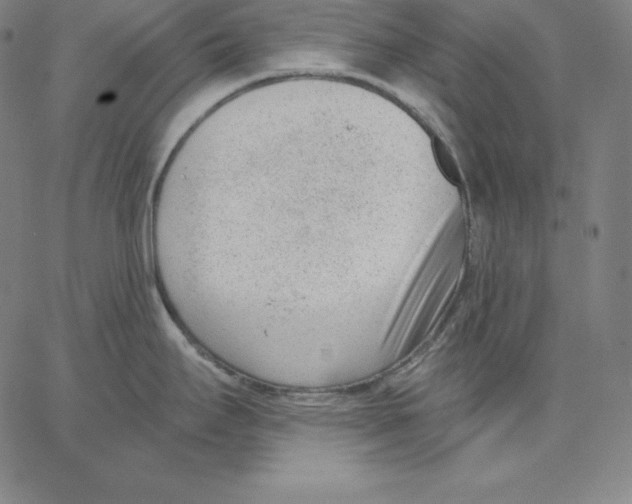 X0000062611295200601181620