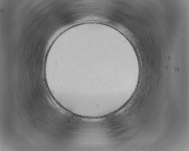 X0000062611296200601181620