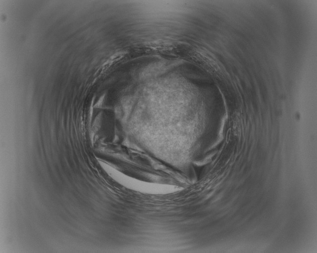 X0000062611298200601181619