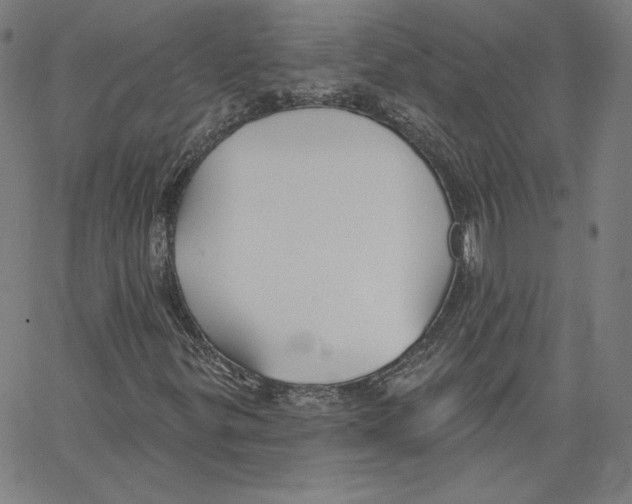 X0000062611299200601181619