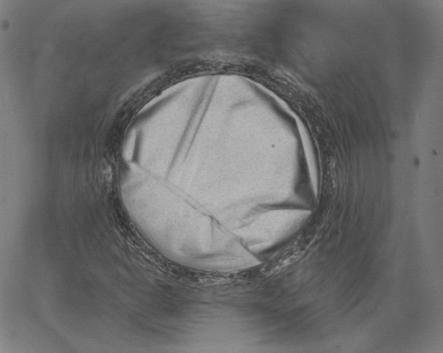 X0000062611302200601181619