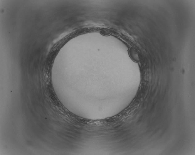 X0000062611303200601181619