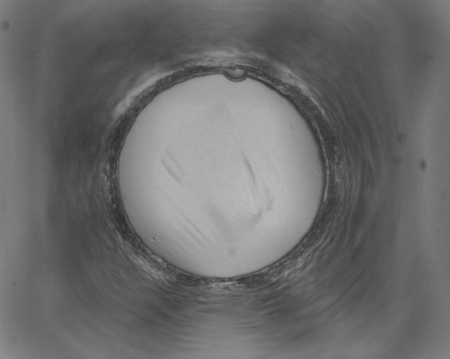 X0000062611304200601181619