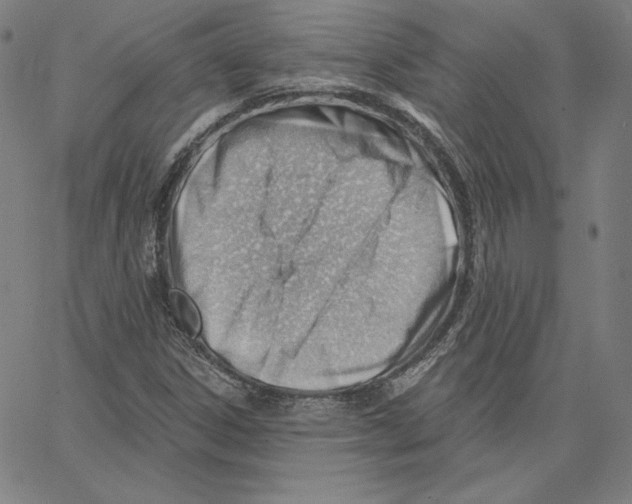 X0000062611306200601181619