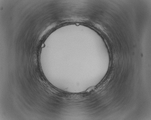 X0000062611307200601181619