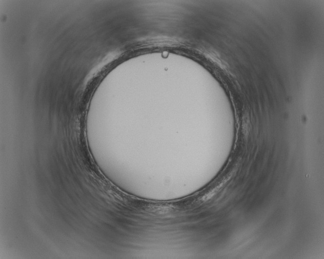 X0000062611309200601181619