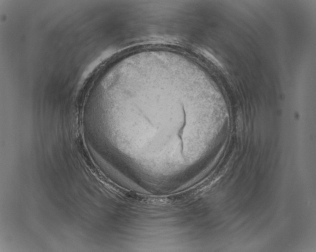 X0000062611310200601181619