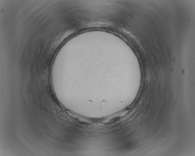 X0000062611313200601181619