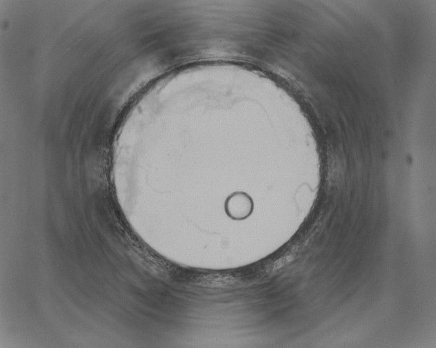 X0000062611314200601181619