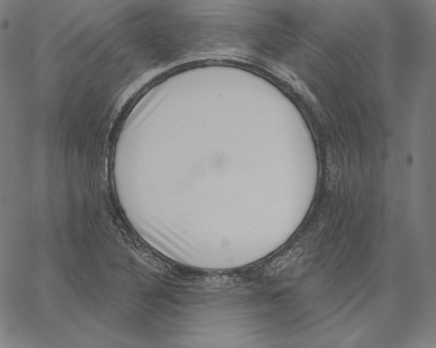 X0000062611316200601181619