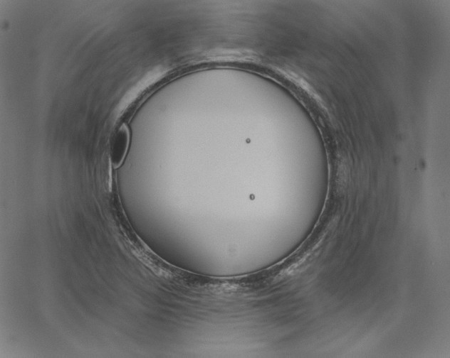 X0000062611317200601181619