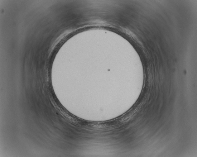 X0000062611318200601181619