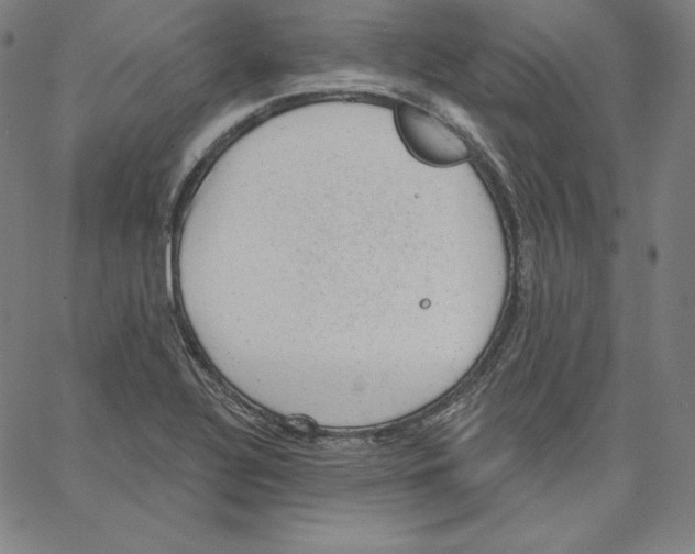 X0000062611320200601181619