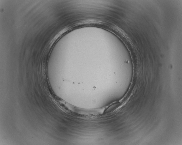 X0000062611321200601181619