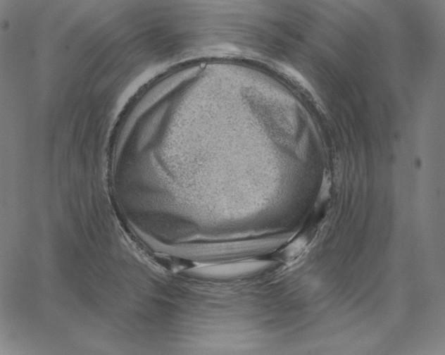 X0000062611326200601181620