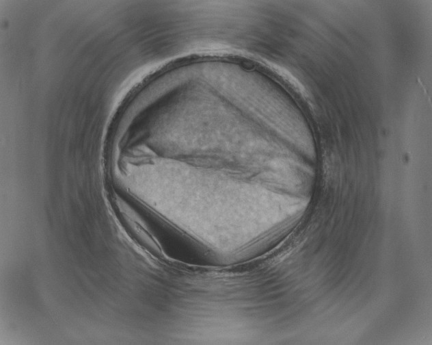 X0000062611327200601181620