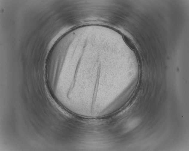 X0000062611333200601181620