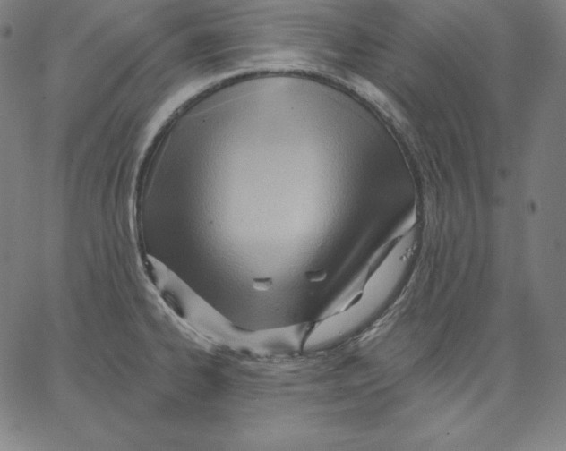 X0000062611334200601181620