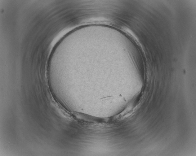 X0000062611336200601181620