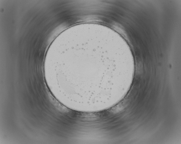 X0000062611338200601181620