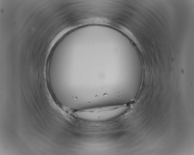 X0000062611339200601181620