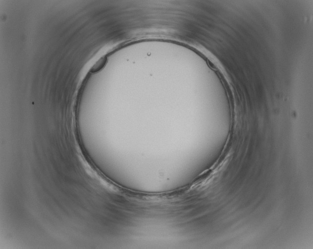 X0000062611341200601181620