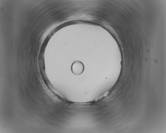 X0000062611344200601181620